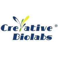 Creative Biolabs